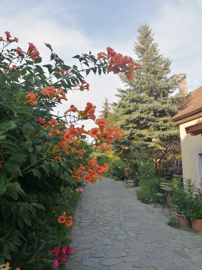 Bed and Breakfast Szentesi Panzio à Fertőrákos Extérieur photo